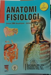 Anatomi Fisiologi
